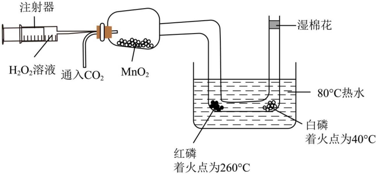 page_6_image_1_v2.jpg