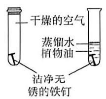 img_p4_23.jpg