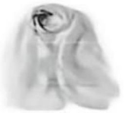 page_2_image_6_v2.jpg