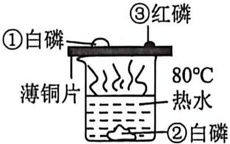 page_3_image_2_v2.jpg