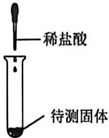 page_3_image_3_v2.jpg