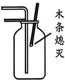 page_3_image_4_v2.jpg