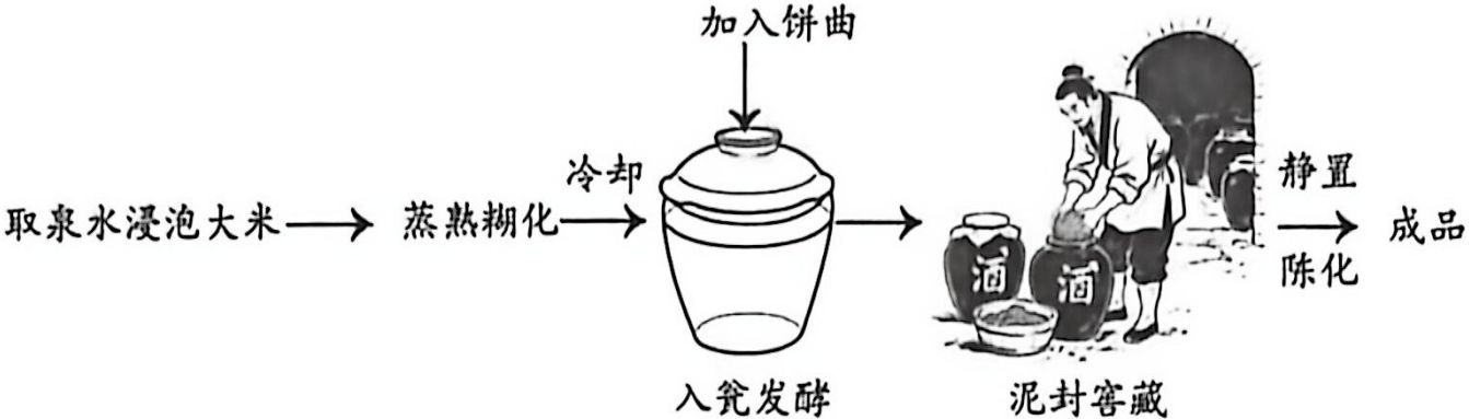 page_4_image_1_v2.jpg