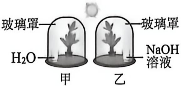 page_6_image_2_v2.jpg
