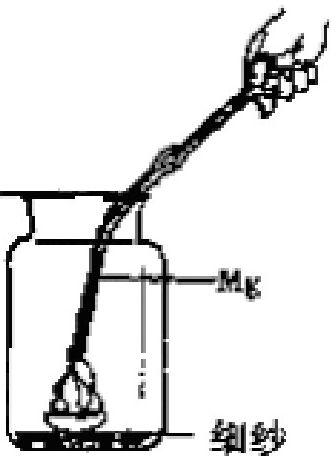 page_3_image_2_v2.jpg