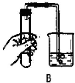 page_1_image_8_v2.jpg
