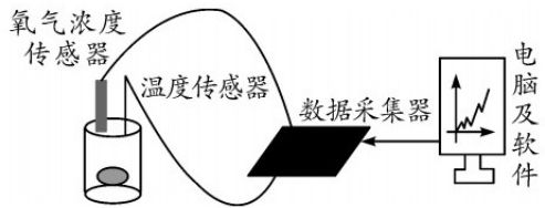 page_16_image_1_v2.jpg
