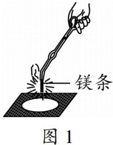 page_22_image_2_v2.jpg